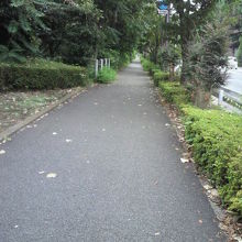 紀伊國坂の横を走る外堀通りに沿って設置されている歩道です。