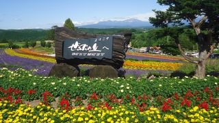 気軽に行ける花畑