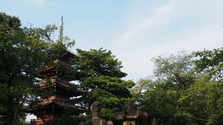 東照宮の参道わきに並んでいます