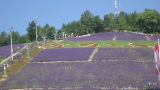 工夫されてます。