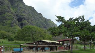 アクティビティが充実