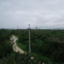 上まで登ると石垣島と海が見えます