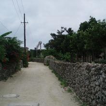 集落から見た赤山公園の「なごみの塔」