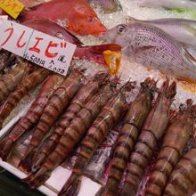 うしなのか。えびなのか。どう見てもえびです。