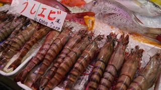 トロピカルカラーの魚を食べられます。