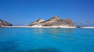 別名 シブガキ島