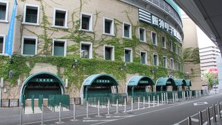 2015年　西宮市　観光　「甲子園球場」