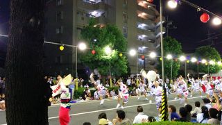 阿波踊り