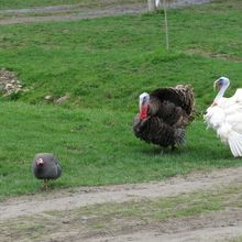 あ＾〜いいですねえ＾〜