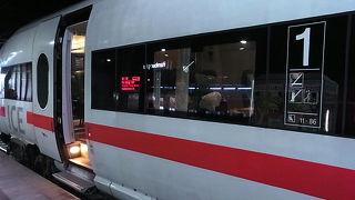 渡り鳥は体験しておこう