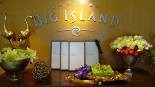 ２０１５年サマーバケーションで６回目のビッグアイランドキャンディーズです