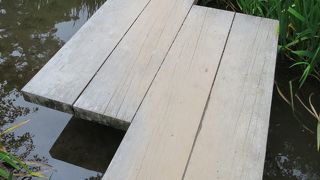 曲水の眺めが良い