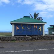 ２０１５年サマーバケーション・ハワイ島でプナルウ・黒砂海岸へ行きました　今回はたくさんのウミガメ!!