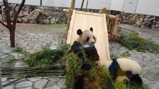 期待通りの楽しいテーマパークです。