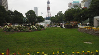 トウモロコシ公園デビュー？