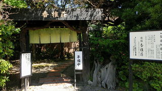 萩の茶屋