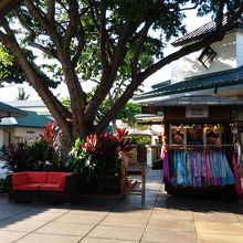 以前はこのようなベンチはなかったような気がしますが設置