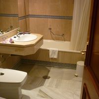 シャワーカーテンは珍しい気がした