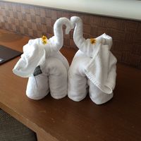 タオルで作った象さんが愛らしい&#11088;&#65038