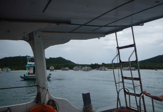 フリッパー ダイビング クラブ