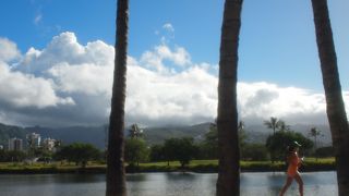 やはり朝が良い！