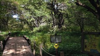 初心者向けで楽しいハイキング