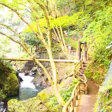 マイナイオンたっぷり