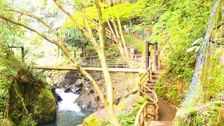 マイナスイオンたっぷり！