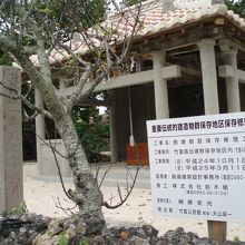 現在修復工事真っ只中！