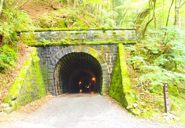 旧天城トンネル クチコミ アクセス 営業時間 天城湯ヶ島温泉 フォートラベル