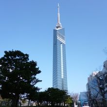 カジキっぽいかも。