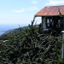 右手奥の部屋です