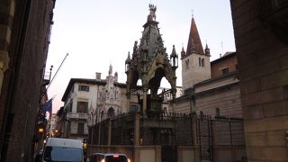 夕方で日がかげり辺りが薄暗くなってきて、よく見えませんでした