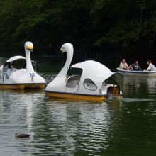 ボートで楽しんでいる人が多いです