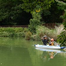 井の頭池の風景