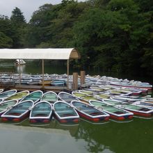 池にボートが停泊中です
