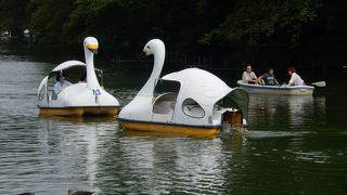 井の頭公園内にあり、ボートも楽しめます