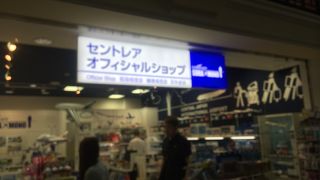 飛行機の模型が充実