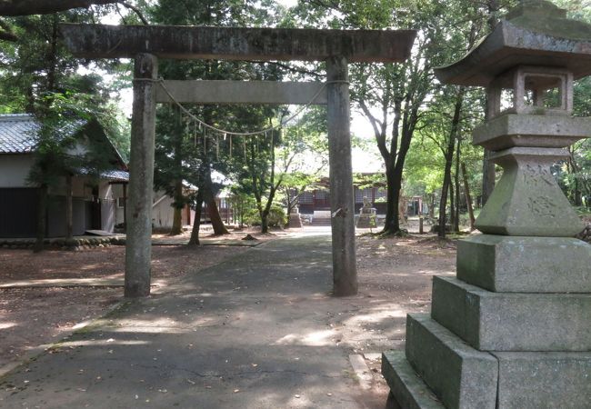 見た感んじ、古そうな雰囲気を感じました