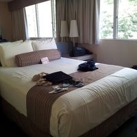 このベットが部屋を占領しています！