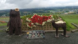きれいな花たちに出会えます