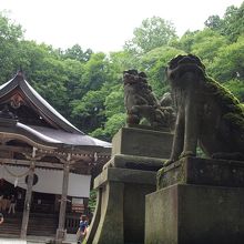 狛犬が二匹ずつ〜！！