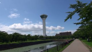 展望台のガラス張り床が楽しい