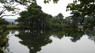 夏には少し不向きなスポットです。