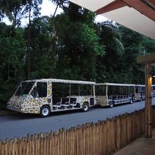 バスに乗って回ります