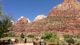 荒野のオアシス