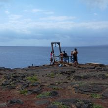必ず海へダイビングする方が居ます