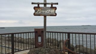 風が強いです。