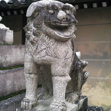 肩から力が抜けそうな笑顔です