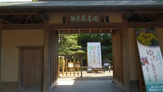 ゆりの季節でした